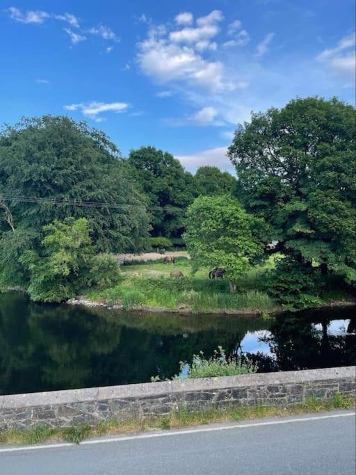 Riverside Retreat Llandysul Buitenkant foto