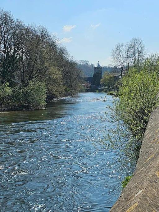 Riverside Retreat Llandysul Buitenkant foto